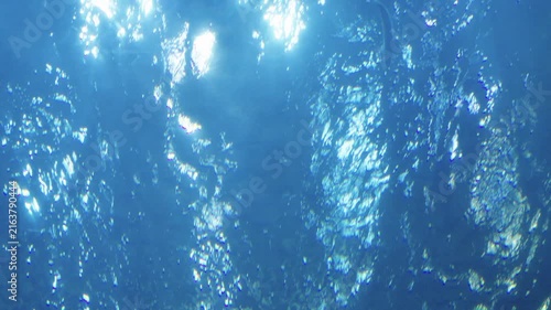 Underwater view looking up at the bright sunlight reflecting on the rippling ocean surface. Two fish swim through the deep blue water with sunbeams and bubbles creating a serene atmosphere.