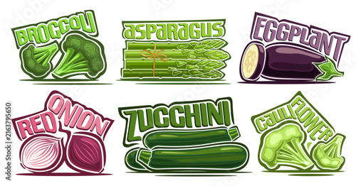 Vector Vegetable Set