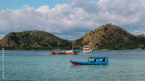 Принти на полотні Rolling green hills and traditional wooden boats floating on a clear water in a