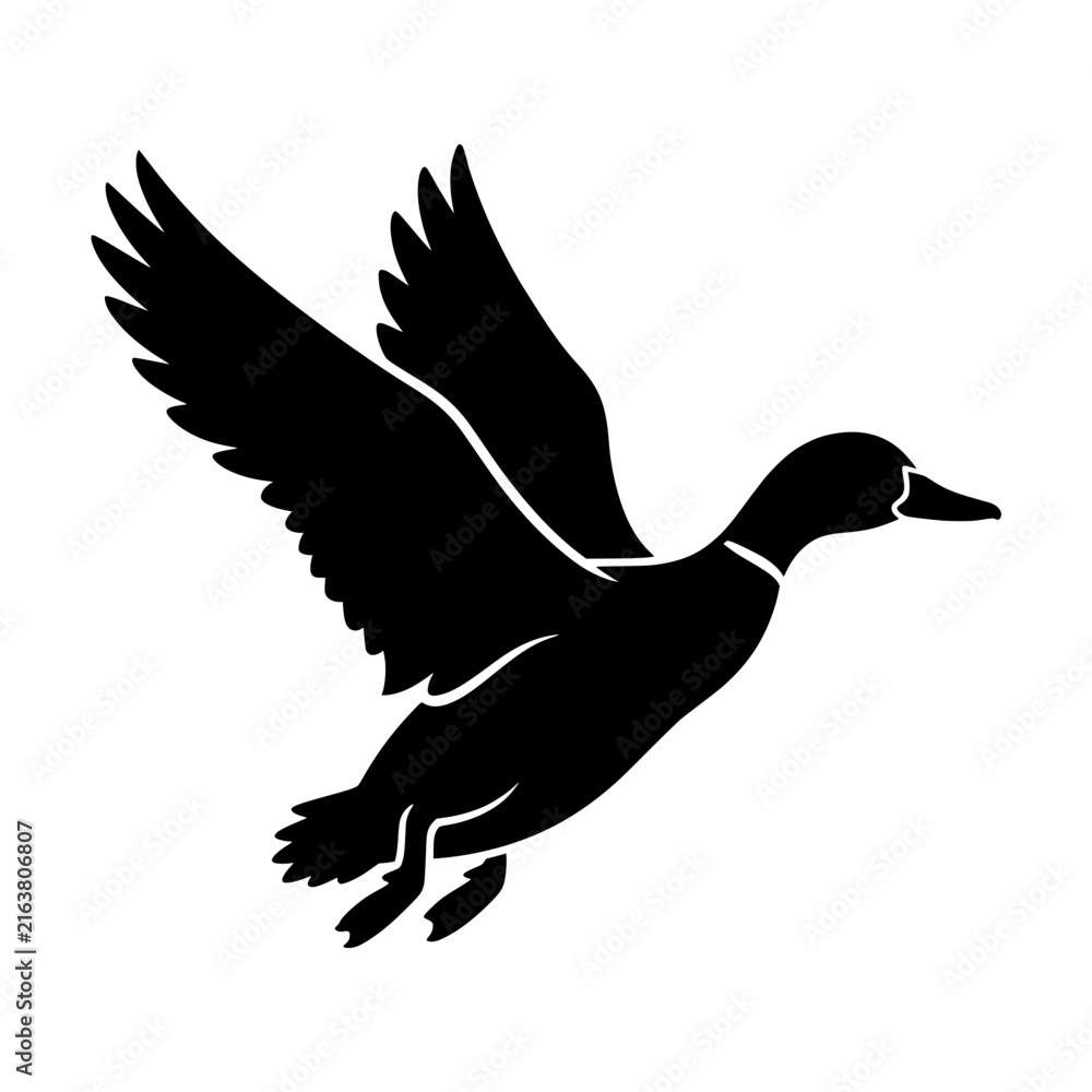 Fototapeta premium Wild Duck Flying Vector Illustration, Black Silhouette Design, Wildlife Concept Featuring Animal, Bird