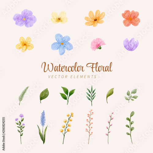Watercolor Floral Elements Collection with Colorful Flowers, Leaves and Botanical Sprigs for Creative Design