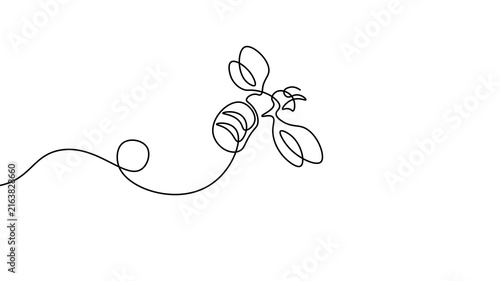 Continuous line coffee bean branch drawing. Minimalist one line art style. Logos postcards books t-shirts covers print. White background black outline vector illustration.