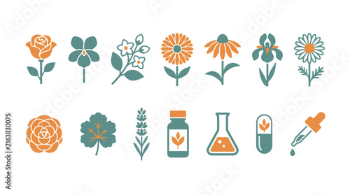 Botanical floral elements and herbal icons.