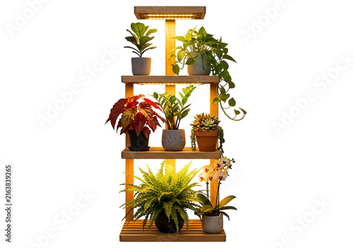 Wooden shelf with various potted plants, illuminated by LED grow lights, isolated white background
