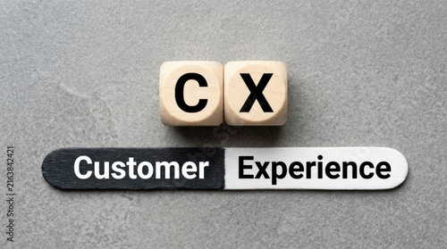 Wooden cubes featuring the letters c and x resting above a black and white stick displaying customer experience written text