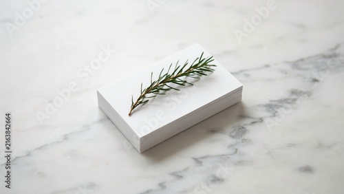 Blank white business cards stack topped with fresh green rosemary sprig resting on elegant polished light gray marble stone surface