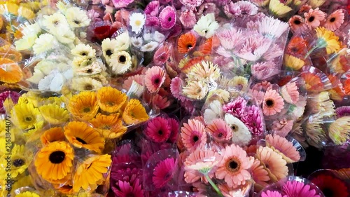 Colorful Gerbera Daisy Bouquets at a Bangkok Flower Market