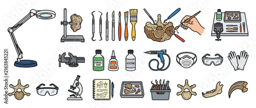 Paleontology Fossil Dig Tools and Specimen Illustration