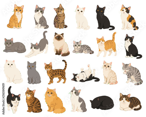 さまざまな猫のイラストセット