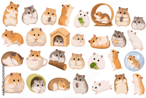 さまざまな可愛いハムスターのイラストセット