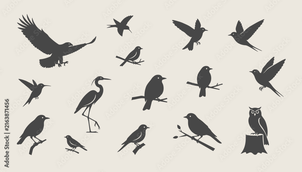 Naklejka premium Collection of fifteen black bird silhouettes in various active poses including flying high, perching, and hunting.