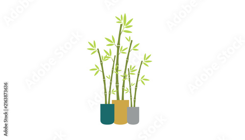 Stylized illustration showcases green bamboo stalks growing in three separate colorful ceramic pots on a white background.