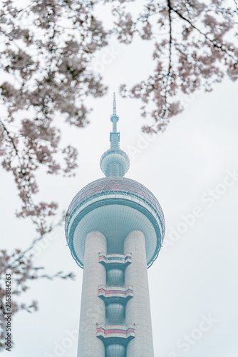 Canvas Print Oriental Pearl Tower spire framed by cherry blossom branches, Lujiazui, Shanghai