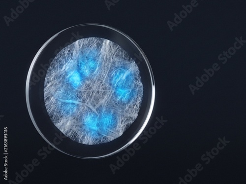 Macro photograph of synthetic bacterial cellulose patch with glowing blue enzymatic reaction zones on a quartz disc