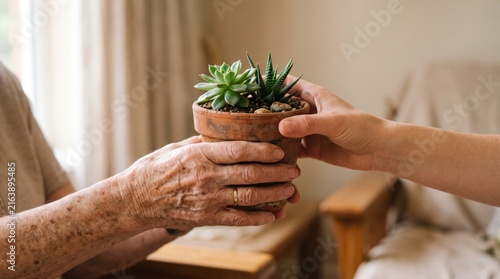Close up of elderly woman hands receiving small potted succulent plant from younger person, symbolizing care, gardening therapy, intergenerational connection, and gift giving