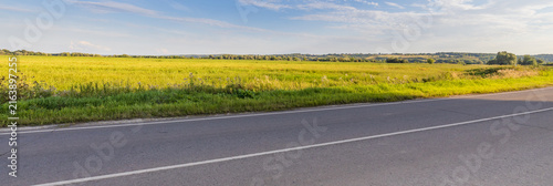 Roadside field bursts with yellow flowers under sunny skies