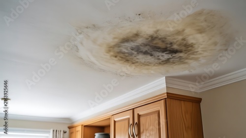 Large water damage stain on a white residential ceiling above wooden kitchen cabinets showing signs of moisture leakage and structural home decay