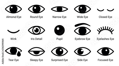 Set of black and white hand drawn eye icons showing various expressions and emotions for character design