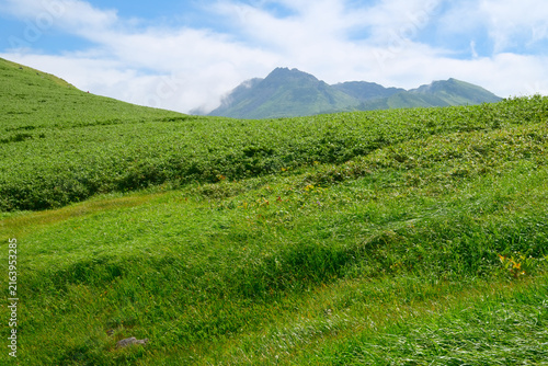 Fotografía 山形県の鳥海山、河原宿付近の草原に頭を覗かせる鳥海山