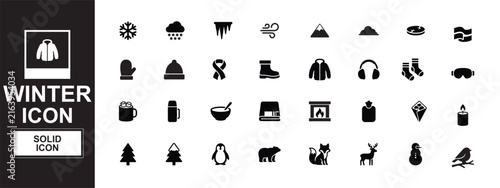 Winter Solid Icon Set Snowflake Clothing Fireplace Penguin Fox Deer Christmas Tree Cozy Season Vector Design