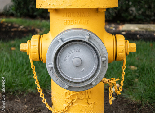 Cuadro en lienzo Close-up of yellow fire hydrant hose connection