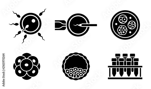 Bild auf Leinwand Fertilization Icons, IVF Process, Embryo Development, Medical Science Vector Gra