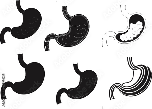 Foto Set of six human stomach anatomical of gastric organ in various styles and line