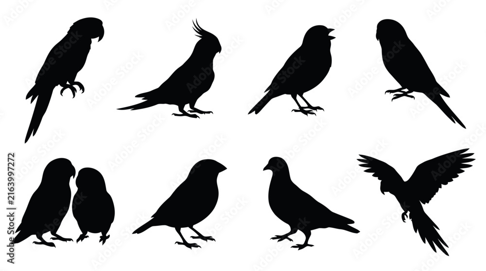 Fototapeta premium Animal Vector Silhouettes Sheet Featuring Various Bird Species Including Parrots and Pigeons