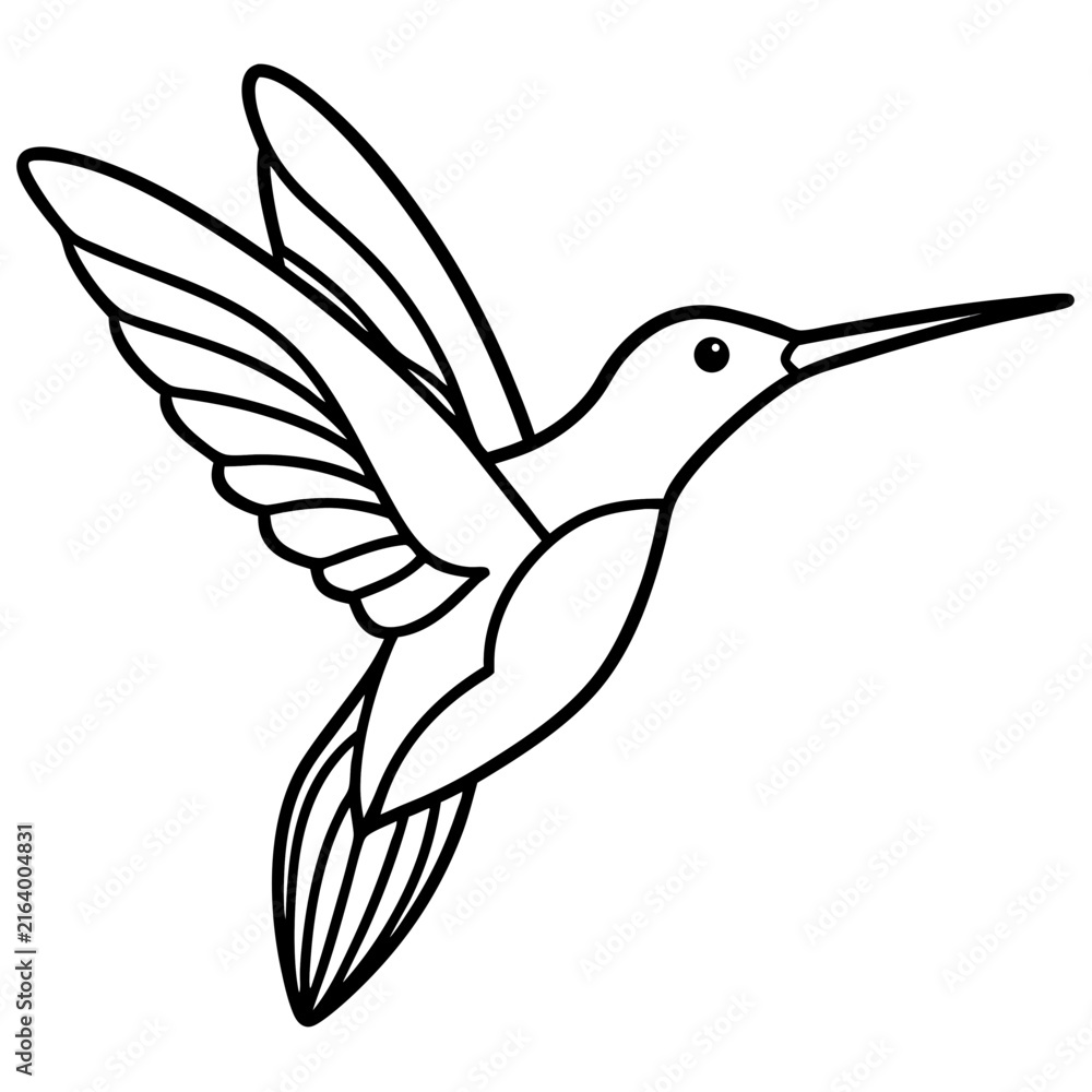 Obraz premium Hummingbird line art vector