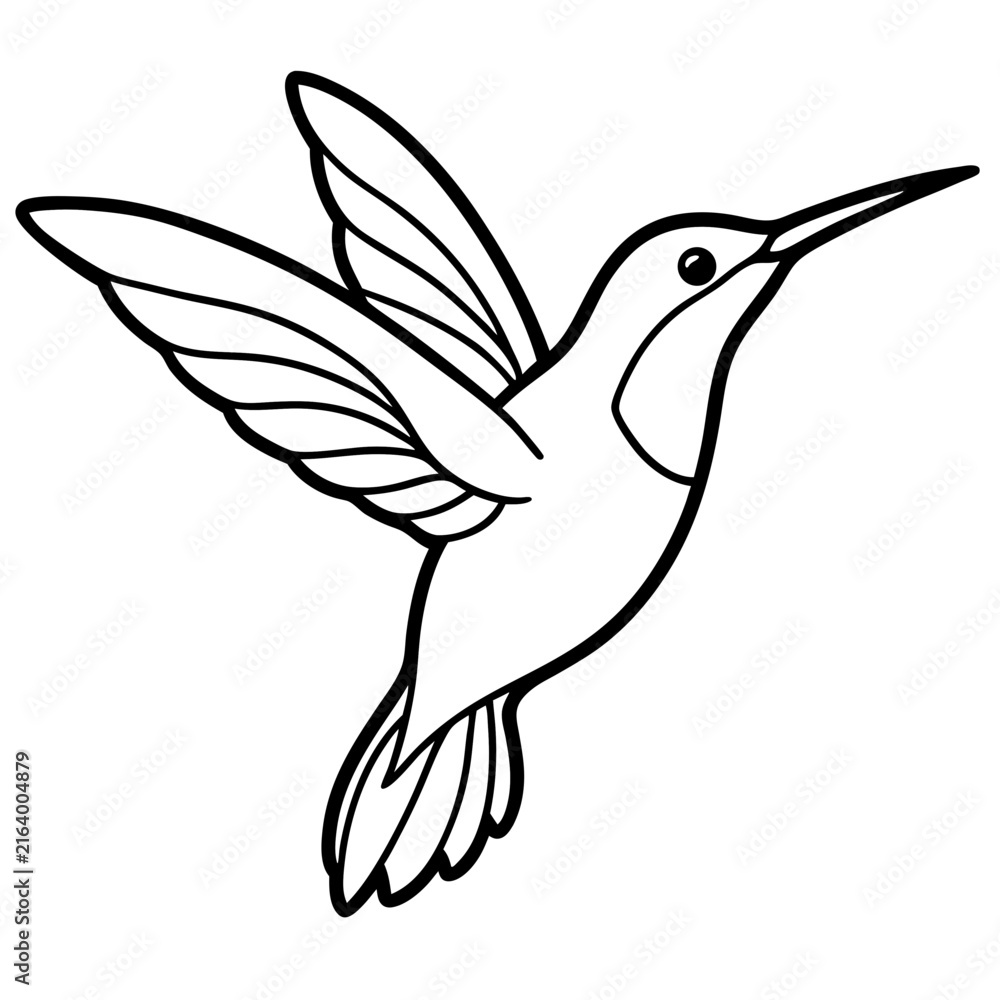 Fototapeta premium Hummingbird line art vector