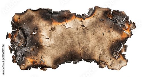 Quadro su tela Fragment of burnt paper with charred edges and ash details