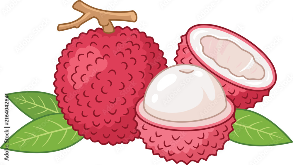Fototapeta premium Fresh exotic lychee fruit vector illustration featuring a whole textured pink shell halved pieces showing juicy white pulp and green leaves isolated on white background
