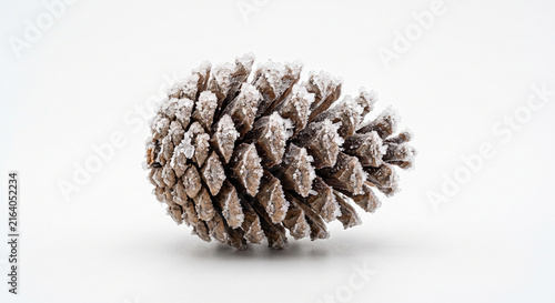 Closeup of a single pine cone covered in frost and ice on a clean white background with subtle shadow creating a winter nature theme