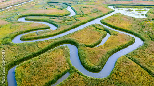 Serene Wetland River Maze