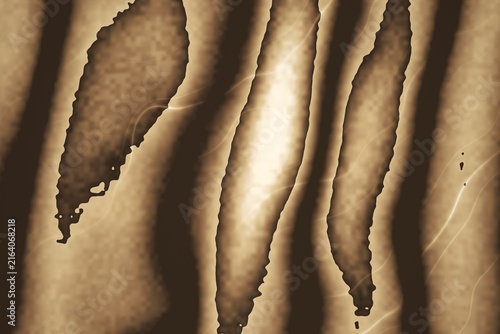Abstract Sepia Tones with Organic Shapes