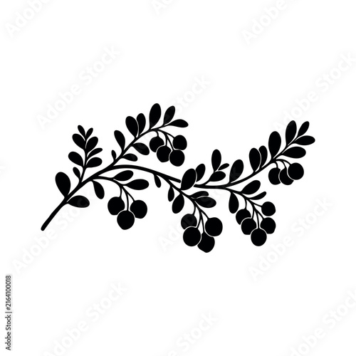 Cranberry branch with berries silhouette vector flat design on white background.
