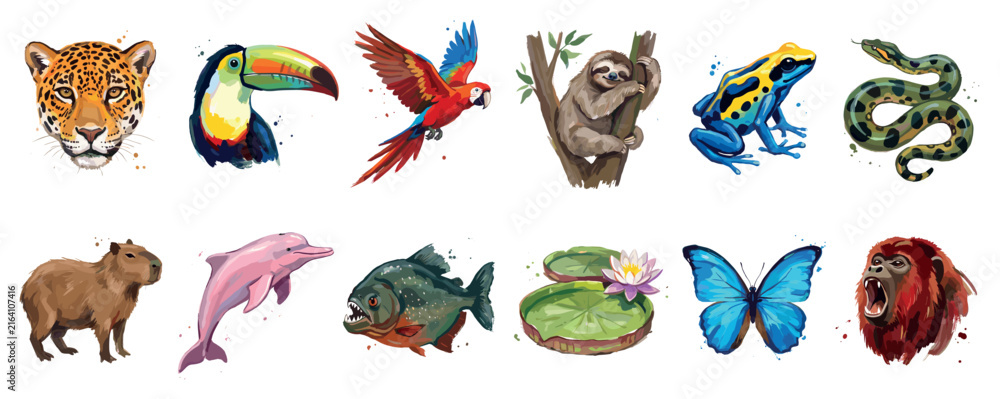 Naklejka premium Amazon rainforest animals icons set. Wildlife and biodiversity concept. Includes jaguar, toucan, macaw, sloth, frog, snake, capybara, dolphin, piranha, water lily, butterfly, orangutan