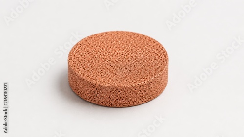Sintered Copper Filter Disc Engineering Sample Isolated on Light Background