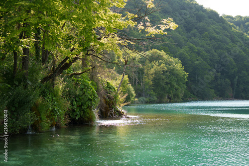 Fotografía Crystal clear turquoise lake surrounded by lush forest in Plitvice Lakes National Park, showcasing pristine natural water and scenery