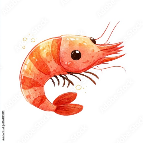 Cute Watercolor Illustration Of A Small Orange Shrimp Isolated On White Background
