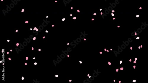 Floating Soft Pink and White Sakura Petals Motion Graphic Overlay with Alpha Channel
