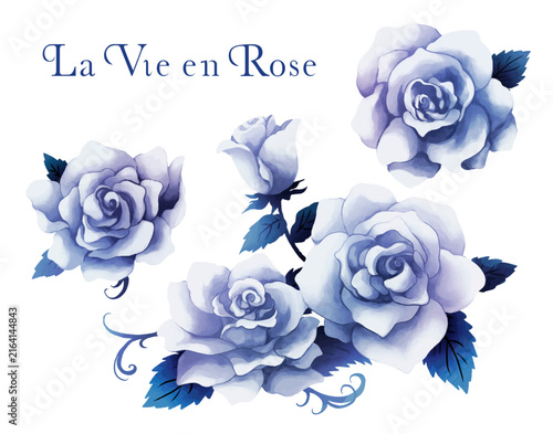 Fototapeta ラヴィアンローズ白色