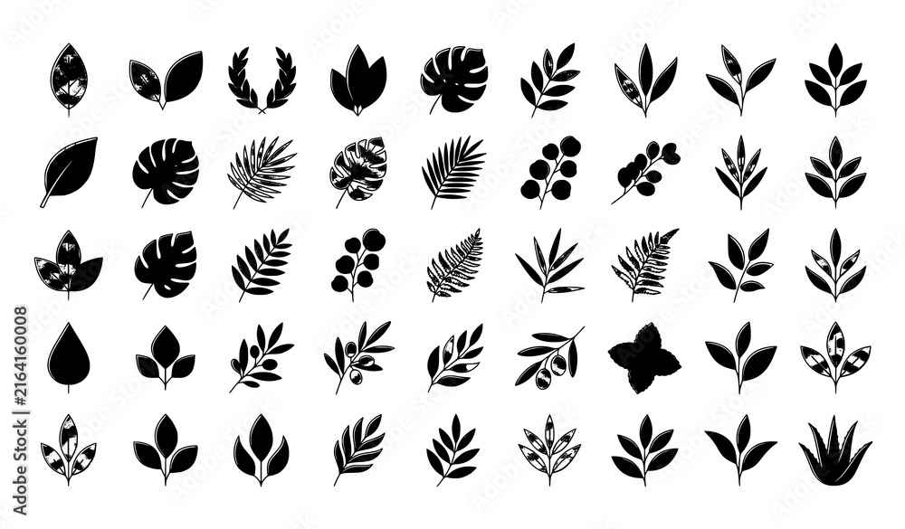 Fototapeta premium Premium Green Leaf Design Elements with Botanical Foliage for Eco Bio Vegan and Natural Labels