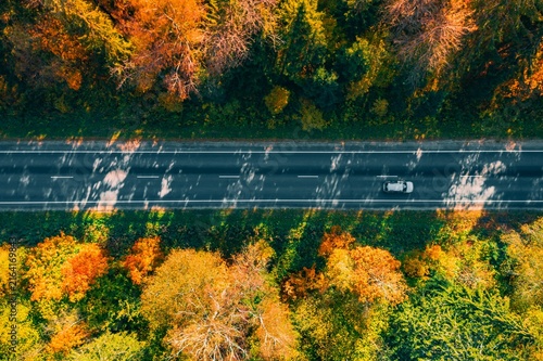 Autumn foliage surrounding asphalt road with lone vehicle traversing through vibrant colors