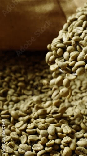 In a bustling roasting facility, workers pour fresh green coffee beans from bags, showcasing the beginning of the roasting process. The rich aroma fills the air with anticipation of flavor.