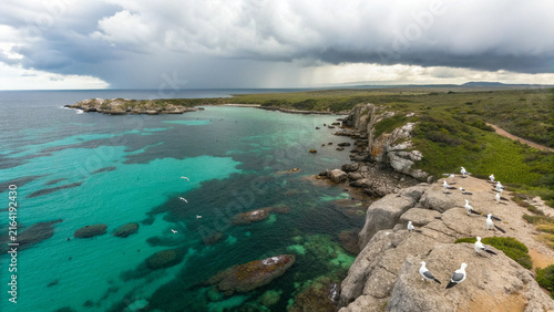 Bild auf Leinwand A rocky coastline with seagulls perched on cliffs overlooking the ocean