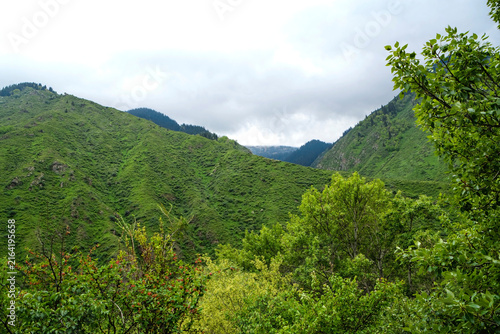 Green mountain landscape under a cloudy hazy sky