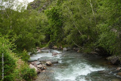 Mountain river flowing through green forest with mountain in background