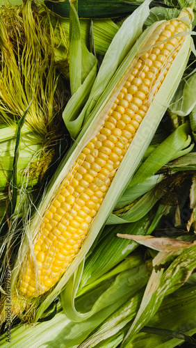 Yellow corn cob with kernels and green leaves