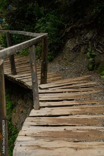 Wooden bridge surrounded by green trees in a mountain landscape